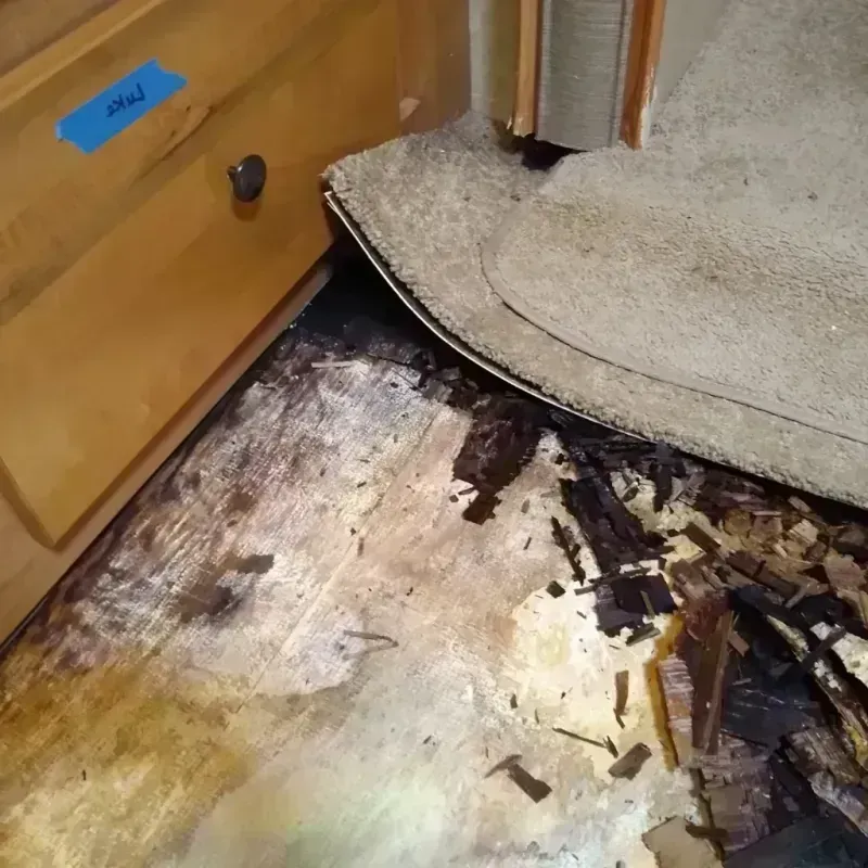 Best Wood Floor Water Damage Service in Del Aire, CA